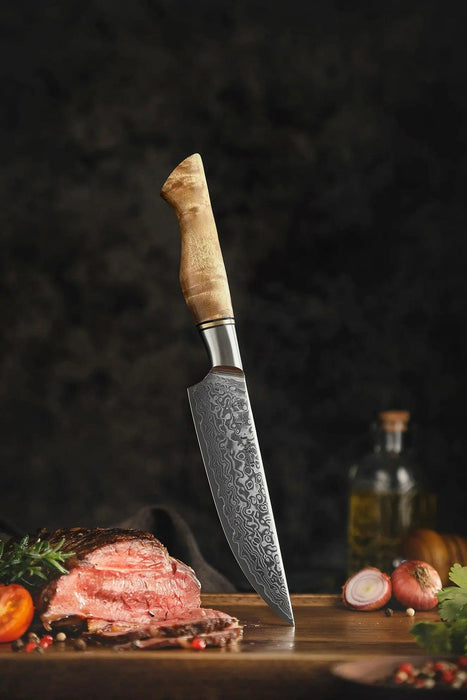 Hezhen B30 Professional Japanese 67-layer High Carbon Damascus Steel Steak Knife