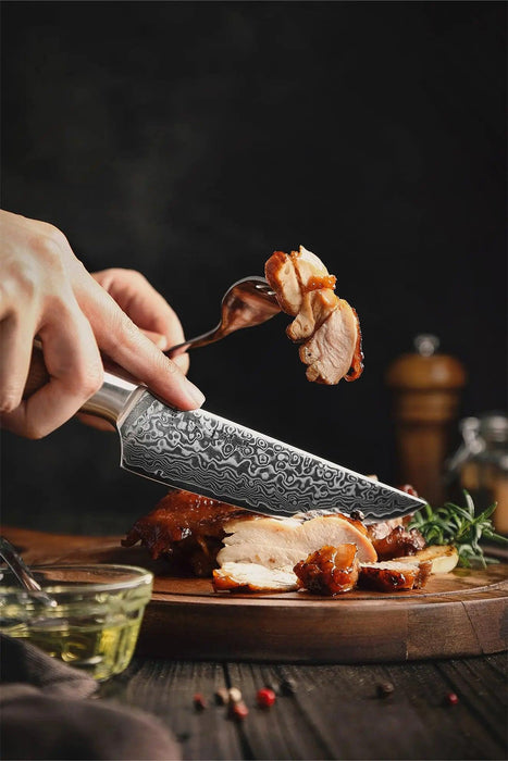 Hezhen B30 Professional Japanese 67-layer High Carbon Damascus Steel Steak Knife