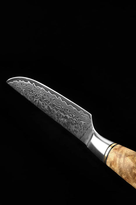 Hezhen B30 Professional Japanese 67-layer High Carbon Damascus Steel Steak Knife Open Box