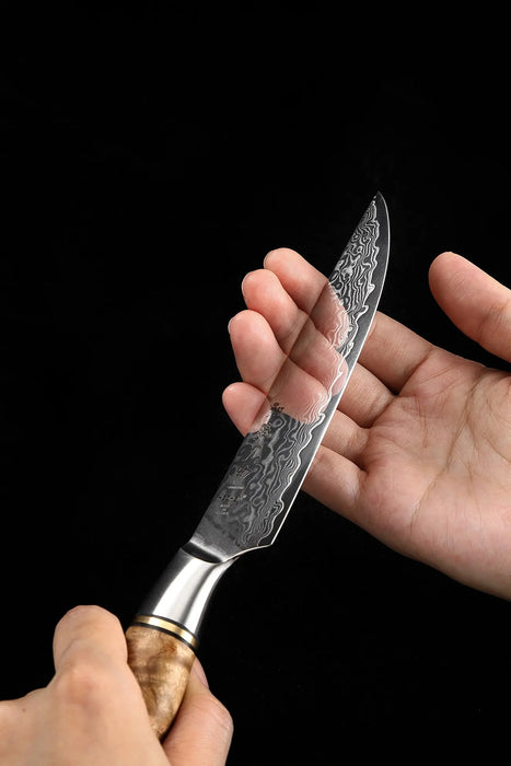 Hezhen B30 Professional Japanese 67-layer High Carbon Damascus Steel Steak Knife Open Box