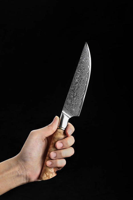 Hezhen B30 Professional Japanese 67-layer High Carbon Damascus Steel Steak Knife Open Box