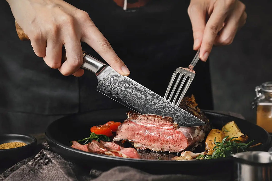 Hezhen B30 Professional Japanese 67-layer High Carbon Damascus Steel Steak Knife Open Box