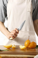 Xinzou B37S Composite Stainless Steel Paring knife with Pakka Wood Handle