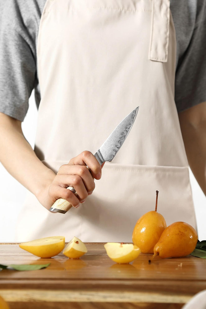 Xinzou B37S Composite Stainless Steel Paring knife with Pakka Wood Handle