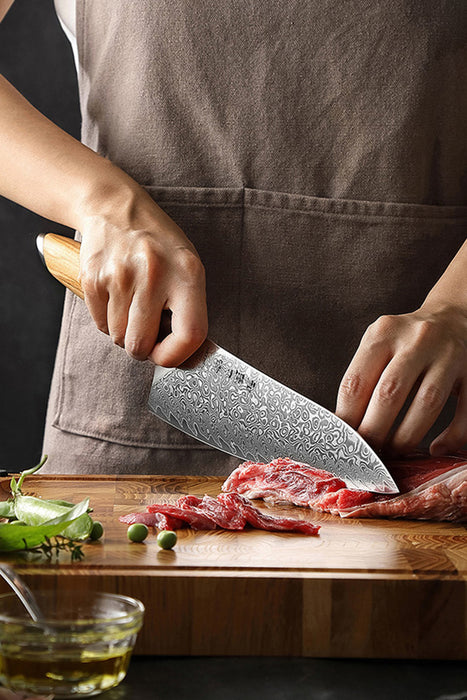 5 Pcs New Chef Knife Set 73 Layers Damascus Powder Steel with Olive Wood Handle - X01 Flagship Series Open Box