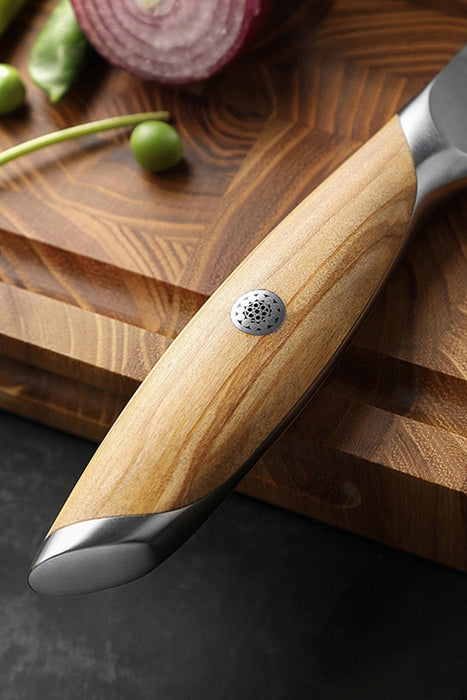 5 Pcs New Chef Knife Set 73 Layers Damascus Powder Steel with Olive Wood Handle - X01 Flagship Series Open Box