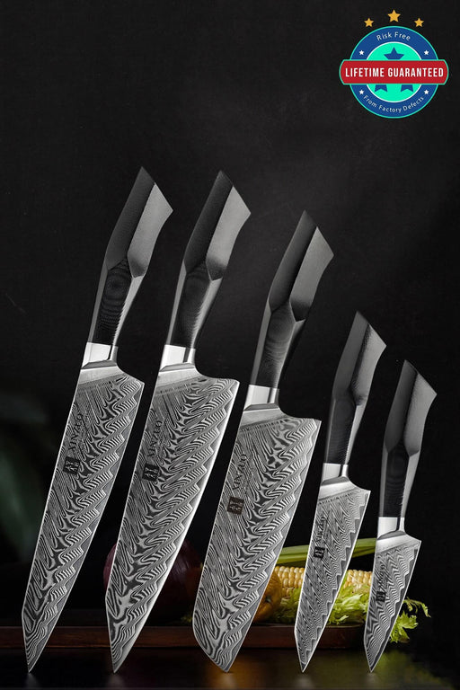 XINZUO B32 5 Pcs 67 Layer Damascus Steel Kitchen Knife Set Professional Japanese Style