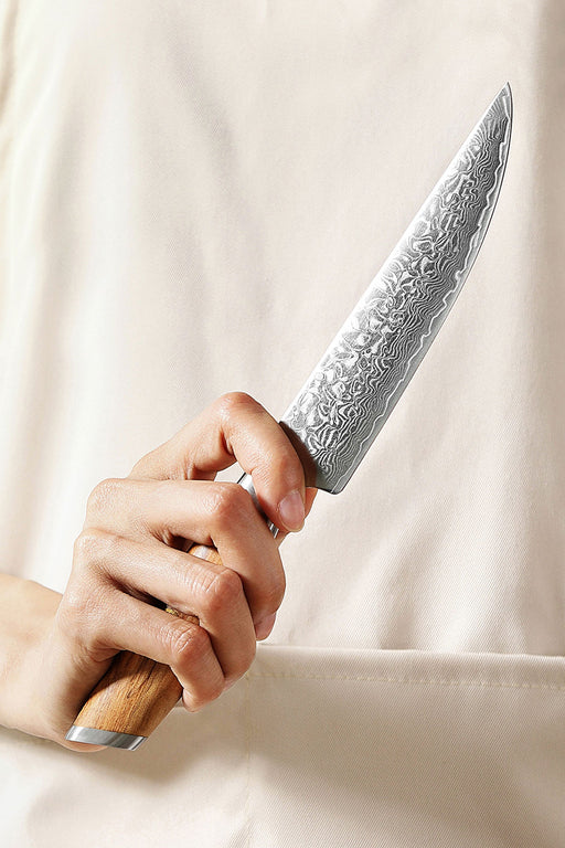 XINZUO B37 Luxury Steak Knife 73 Layers Damascus Steel with Powder Steel Blade Core Olive Wood Handle