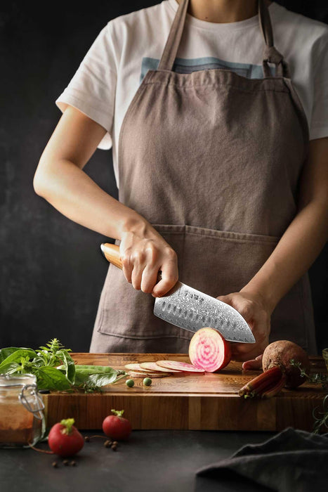 Hezhen X01 Flagship Series 73 Layer Damascus Santoku Knife with Olive Wood Handle Open Box