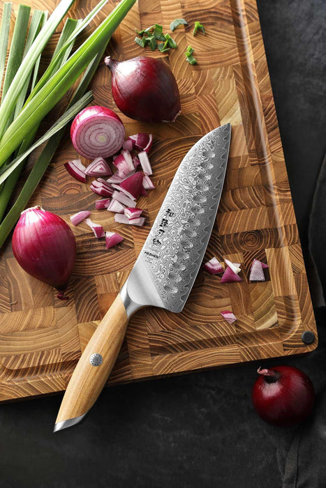 Hezhen X01 Flagship Series 73 Layer Damascus Santoku Knife with Olive Wood Handle Open Box
