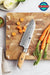 Xinxuo B37 Japanese Damascus Steel 73 Layers Powder Steel Kitchen Santoku Knife - The Bamboo Guy
