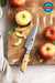 Xinxuo B37 Japanese Damascus Steel 73 Layers Powder Steel Kitchen Utility Knife - The Bamboo Guy