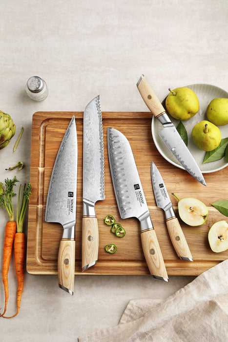 Xinzou B37S 5 pc Composite Stainless Steel Kitchen Knife Set with Pakkawood Handle - The Bamboo Guy