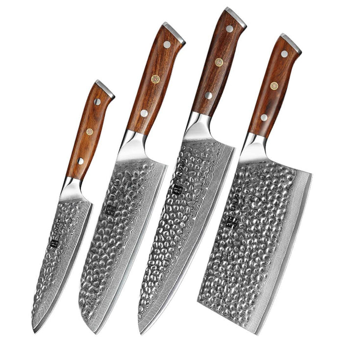 Xinzuo B13D 4 Pcs 67 Layer Damascus Santoku Knife Set American Desert Ironwood