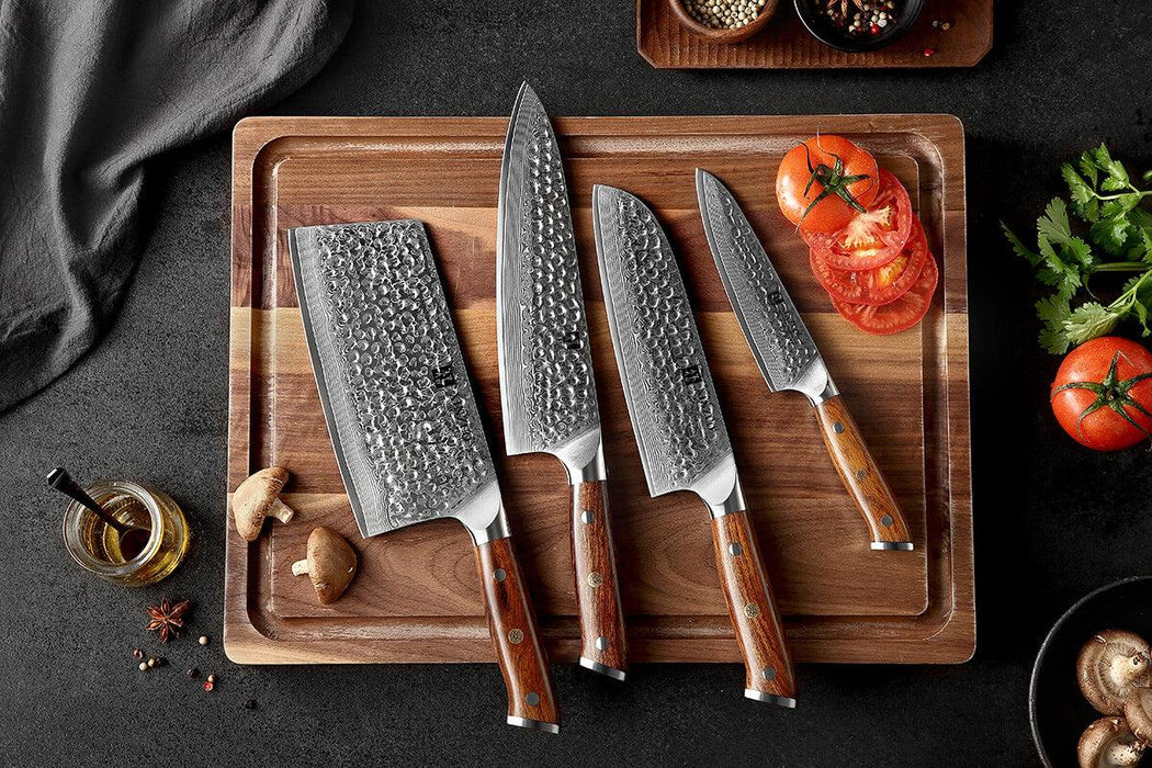 Xinzuo B13D 4 Pcs 67 Layer Damascus Santoku Knife Set American Desert Ironwood