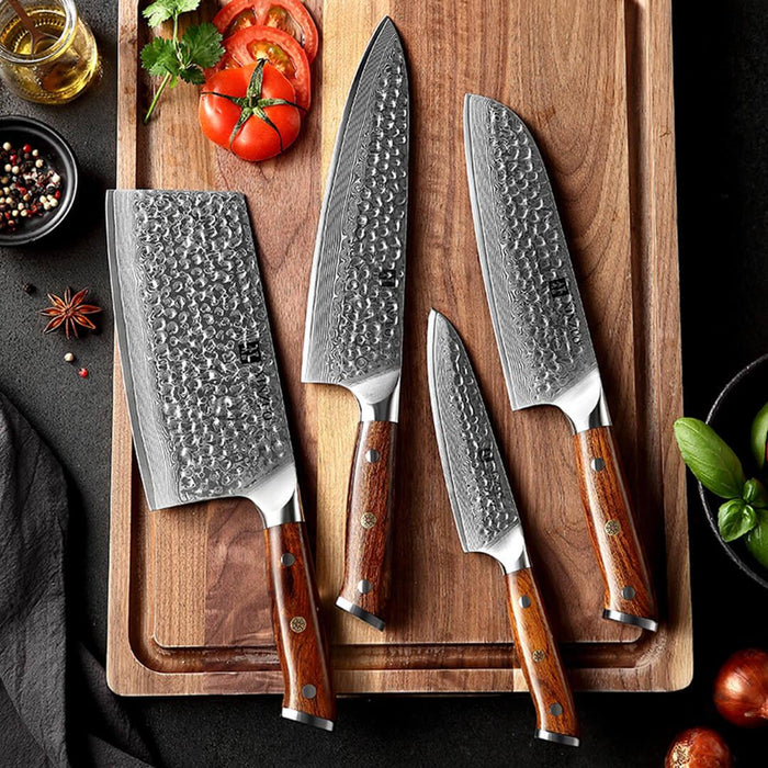 Xinzuo B13D 4 Pcs 67 Layer Damascus Santoku Knife Set American Desert Ironwood