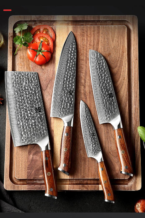 Xinzuo B13D 4 Pcs 67 Layer Damascus Santoku Knife Set