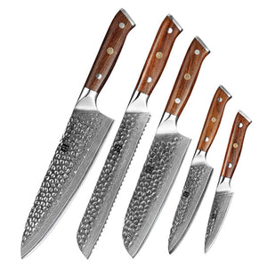 Xinzuo B13D 5 Pcs 67 Layer Damascus Santoku Knife Set North