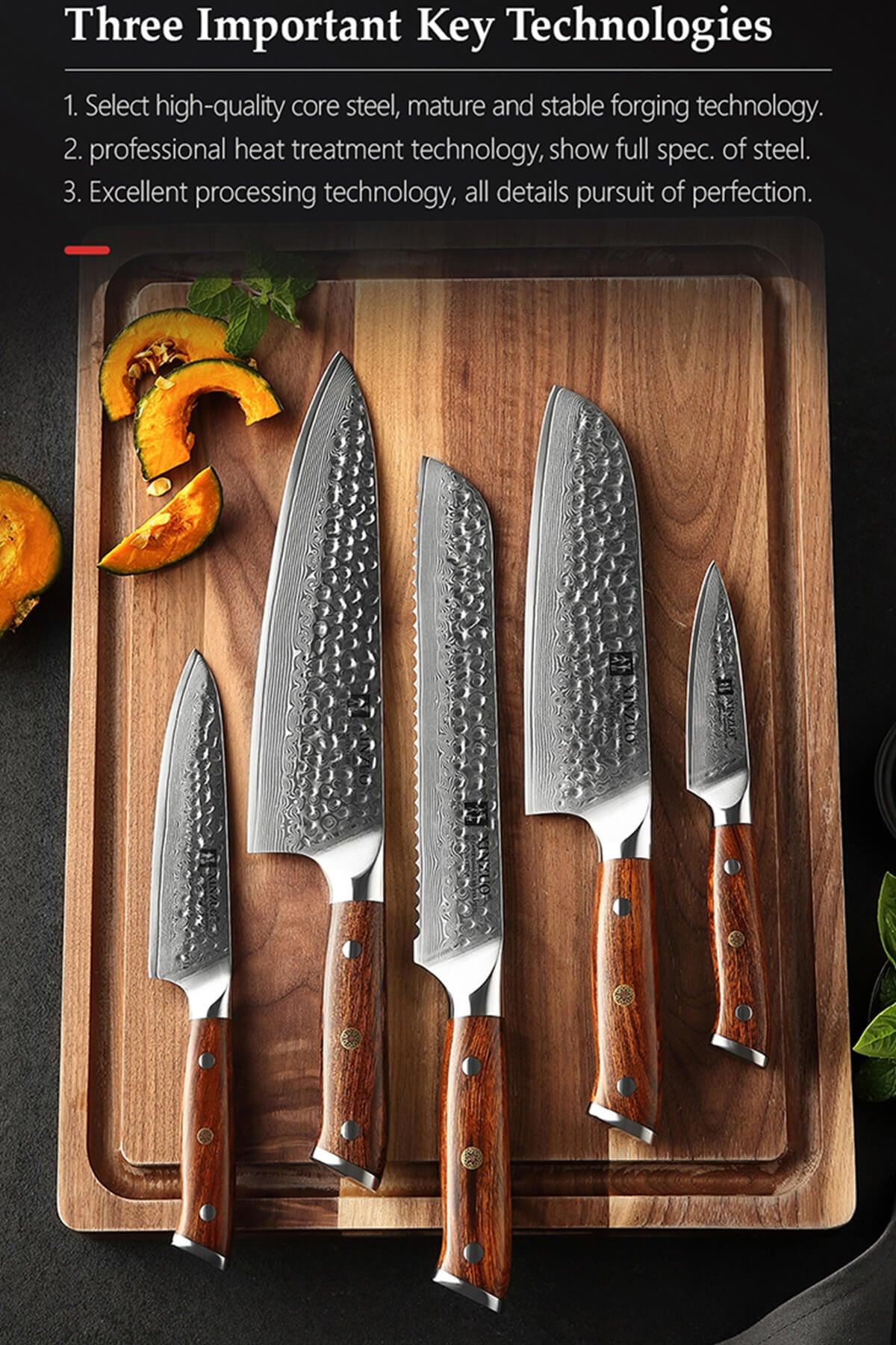 Xinzuo B13D 5 Pcs 67 Layer Damascus Santoku Knife Set North