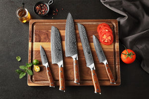 Xinzuo B13D 5 Pcs 67 Layer Damascus Santoku Knife Set North