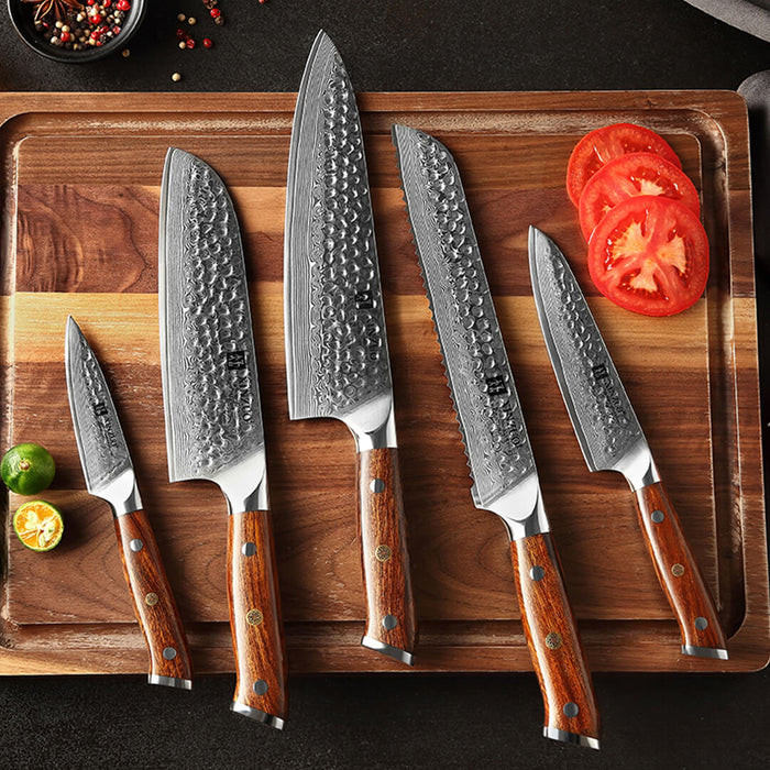 Xinzuo B13D 5 Pcs 67 Layer Damascus Santoku Knife Kitchen Set