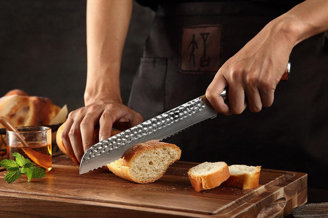 Xinzuo B13D 8" 67 Layer Damascus Bread Knife Damascus Steel Bread Knife