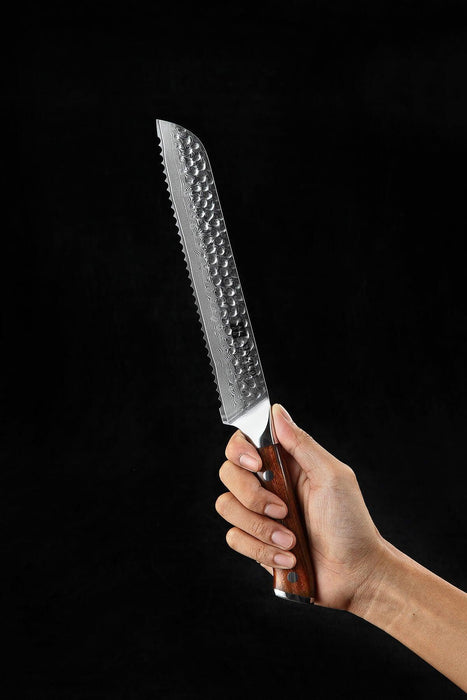 Xinzuo B13D 8" 67 Layer Damascus Bread Knife Damascus Steel Bread Knife