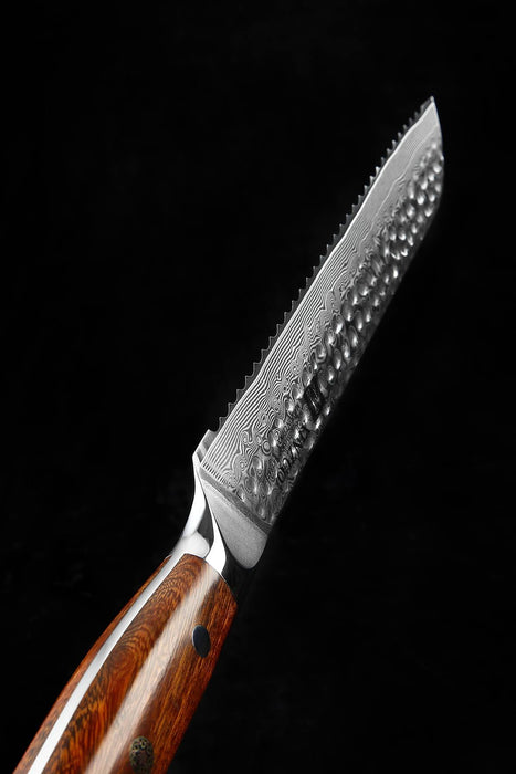 Xinzuo B13D 8" 67 Layer Damascus Bread Knife Damascus Steel Bread Knife