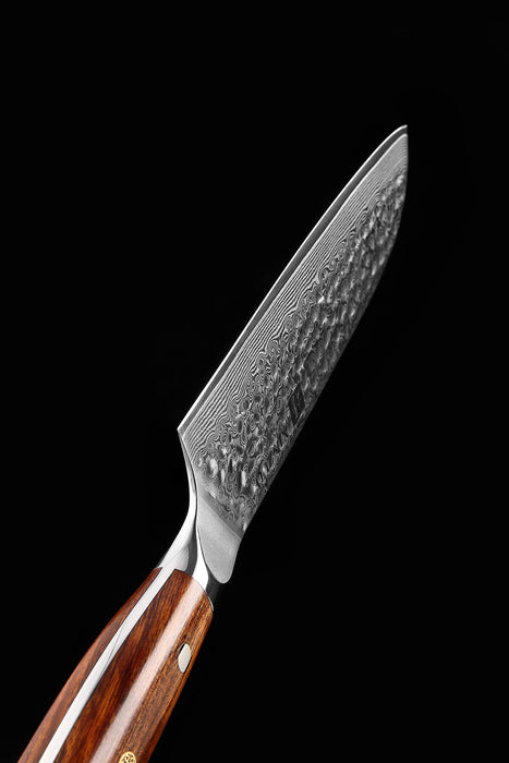 Xinzuo B13D 7" 67 Layer Japanese Damascus Santoku Knife Desert Ironwood Handles