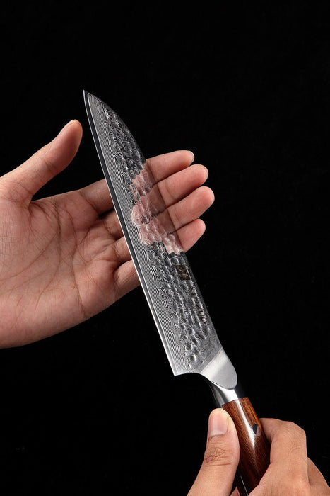 Xinzuo B13D 7" 67 Layer Japanese Damascus Santoku Knife Desert Ironwood Handles