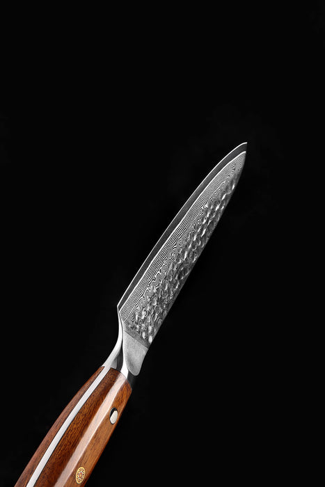 Xinzuo B13D 7" 67 Layer Damascus Utility Knife Damascus Steel Utility Knife