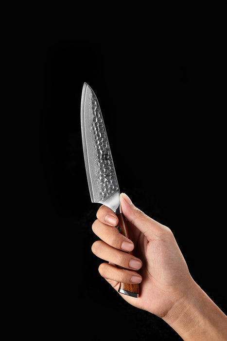 Xinzuo B13D 7" 67 Layer Damascus Utility Knife Damascus Steel Utility Knife