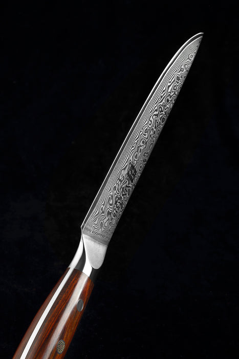 Xinzuo B13R 8" 67 Layer Japanese Damascus Steel Carving Knife Rosewood Handles