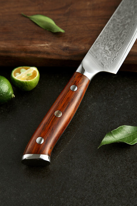 Xinzuo Japanese Damascus Utility knife with Rose Wood Handle