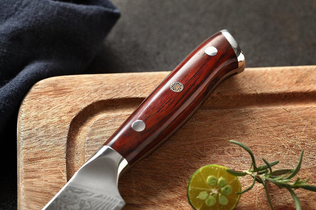Xinzuo B13R 5" 67 Layer VG10 Damascus Steak Knives with Rosewood Handles