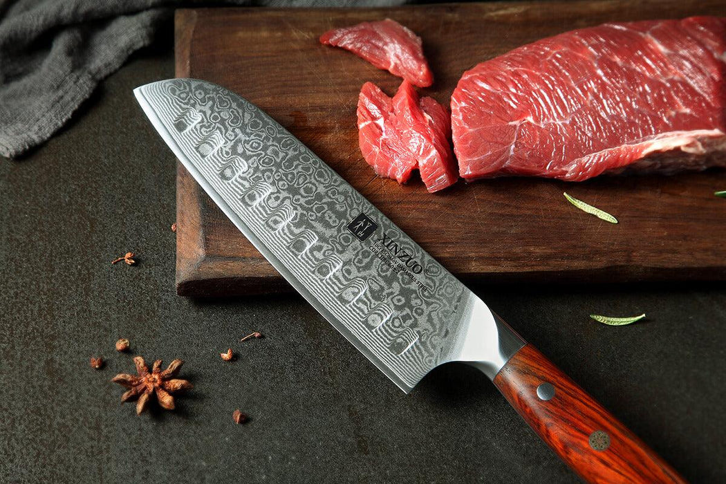 Xinzuo 67 Layer VG10 Japanese Damascus Santoku Knife