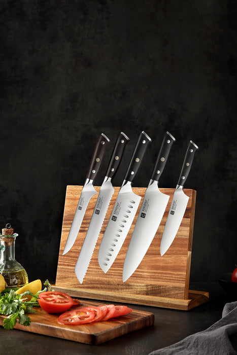 Xinzuo B13S 5 Pcs German High Carbon Steel Kitchen Knives Kitchen Knife Set