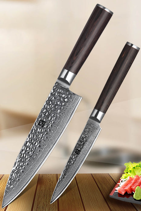 Xinzuo B1H 2 Pcs 67 Layer Damascus Steel Chef and Utility Knife Set
