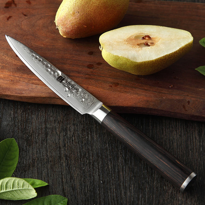Xinzuo B1H 3 Pcs 67 Layer Damascus Steel Kitchen Knife Set 10