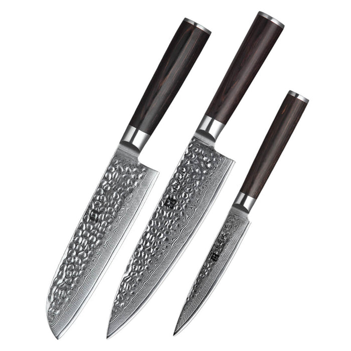 Xinzuo B1H 3 Pcs 67 Layer Damascus Steel Kitchen Knife Set 3