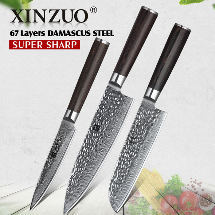Xinzuo B1H 3 Pcs 67 Layer Damascus Steel Kitchen Knife Set 4