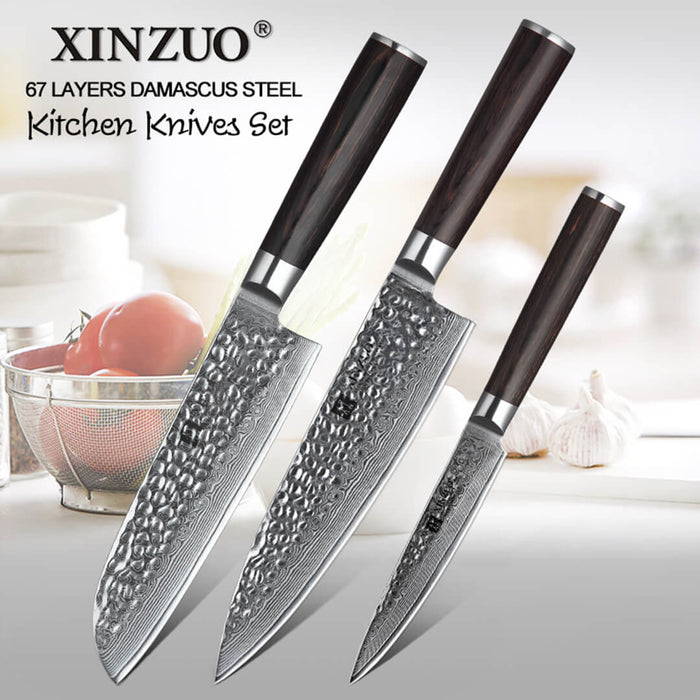 Xinzuo B1H 3 Pcs 67 Layer Damascus Steel Kitchen Knife Set 6