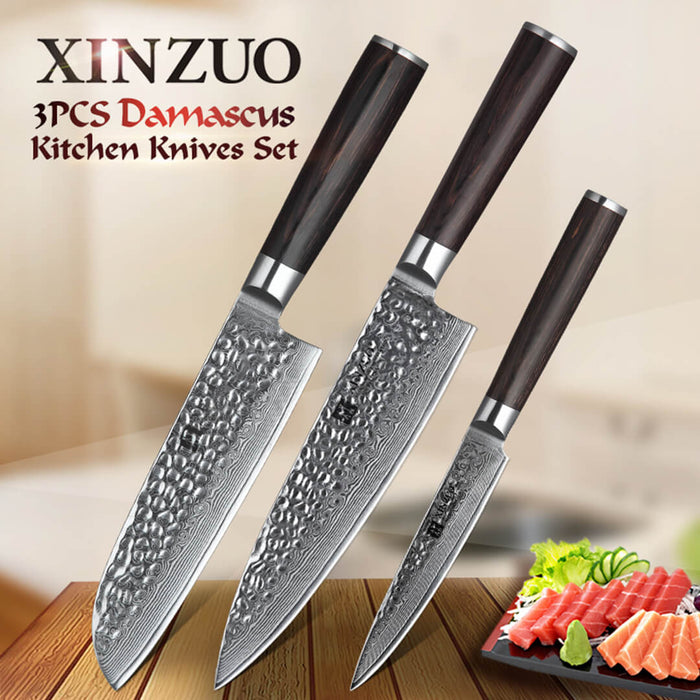 Xinzuo B1H 3 Pcs 67 Layer Damascus Steel Kitchen Knife Set 7