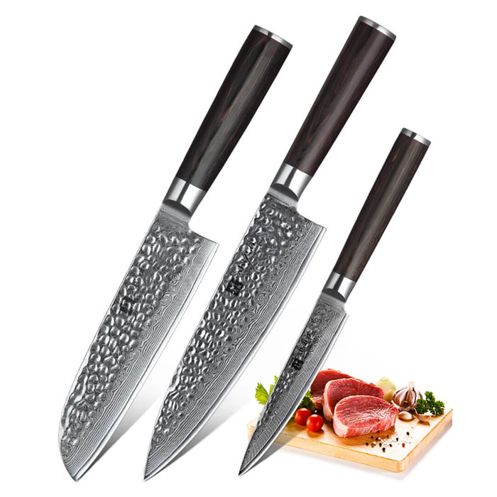 Xinzuo B1H 3 Pcs 67 Layer Damascus Steel Kitchen Knife Set 8