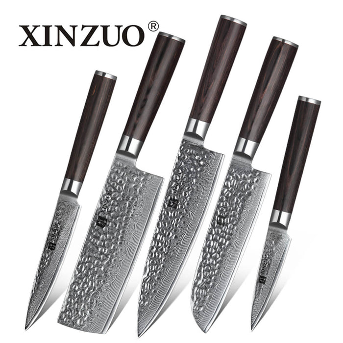 Xinzuo B1H 5 Pcs 67 Layer Damascus Steel Chef Knife Set 2
