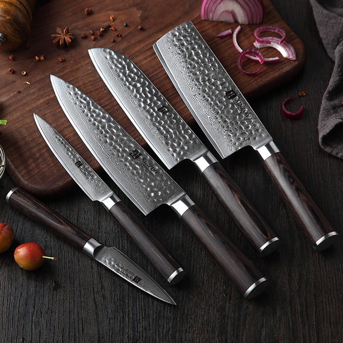 Xinzuo B1H 5 Pcs 67 Layer Damascus Steel Chef Knife Set 3