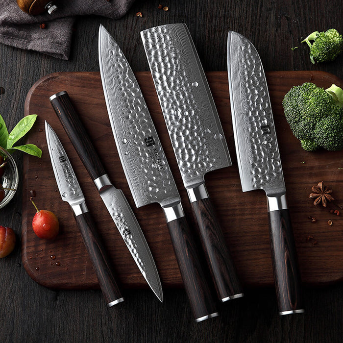 Xinzuo B1H 5 Pcs 67 Layer Damascus Steel Chef Knife Set 4