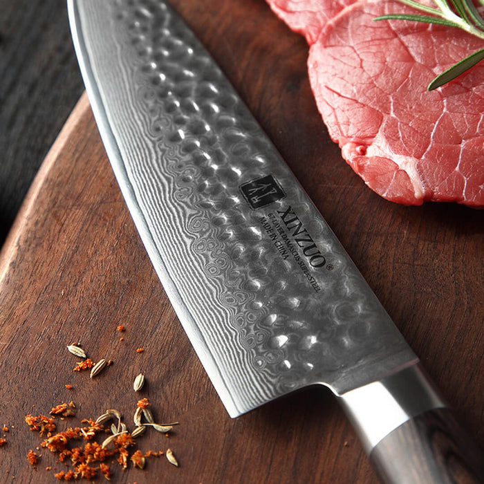 Xinzuo B1H 5 Pcs 67 Layer Damascus Steel Chef Knife Set with Pakka Wood Handle