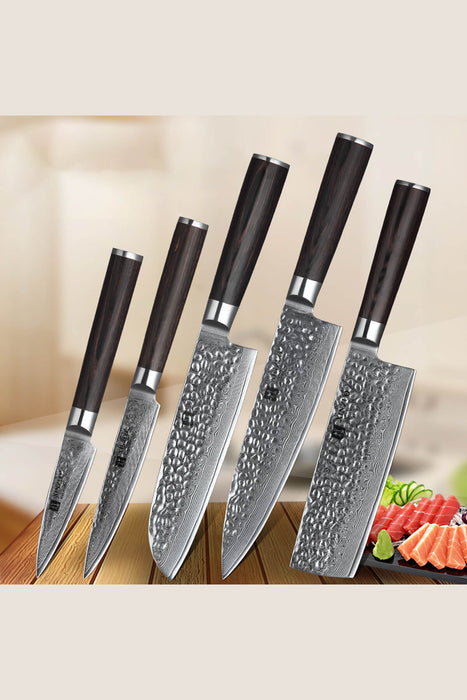 Xinzuo B1H 5 Pcs 67 Layer Damascus Steel Chef Knife Set