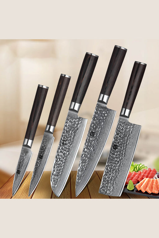 https://www.thebambooguy.com/cdn/shop/files/Xinzuo-B1H-5-Pcs-67-Layer-Damascus-Steel-Chef-Knife-Set_512x769.jpg?v=1701520081